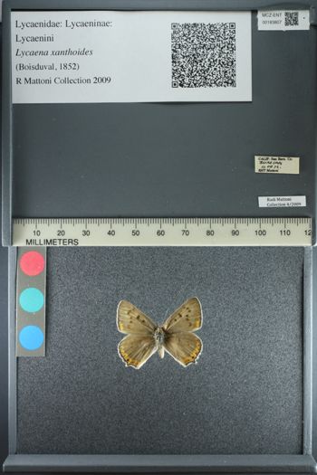 Media type: image;   Entomology 183807